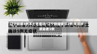 辽宁新增4例本土无症状/辽宁新增确诊2例 无症状感染者3例-第2张图片