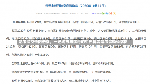哈尔滨疫情阻击战	，一场城市与病毒的生死博弈哈尔滨确诊病例-第1张图片